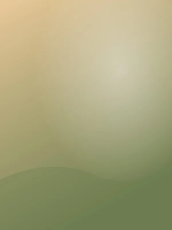 02 placeholder